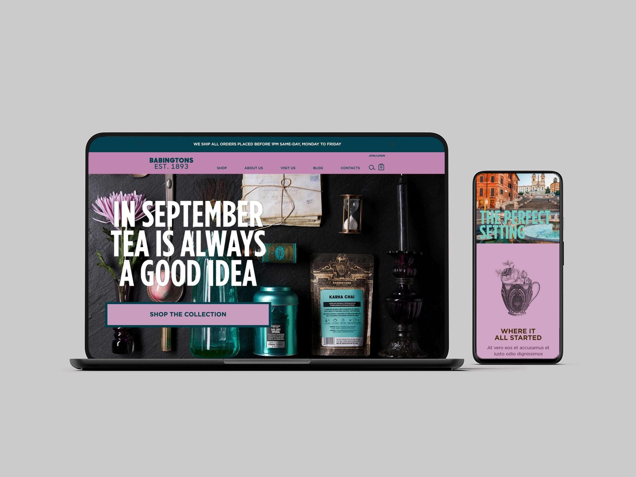 Some Babingtons tea products including a tea bag