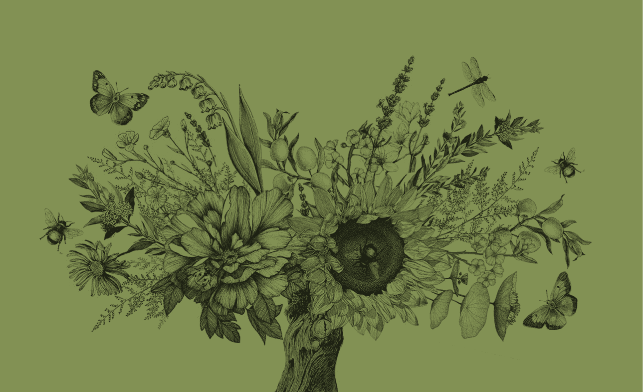 Green background with black illustration